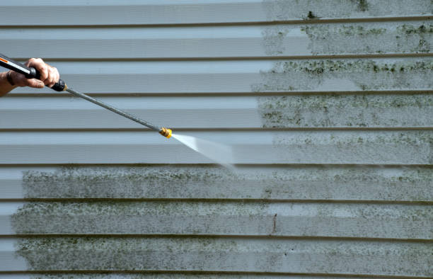 Best Deck Cleaning Services  in Nocona, TX